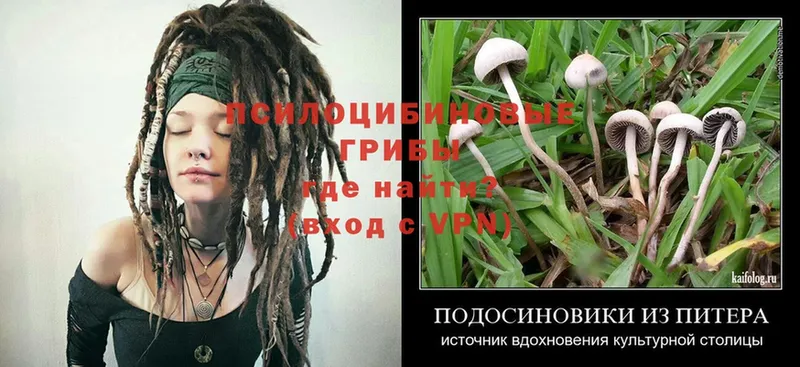 Галлюциногенные грибы Magic Shrooms  darknet как зайти  Димитровград  hydra как войти 