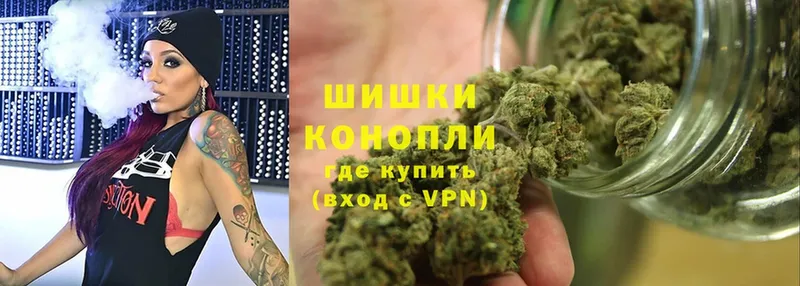 Каннабис Bruce Banner  Димитровград 